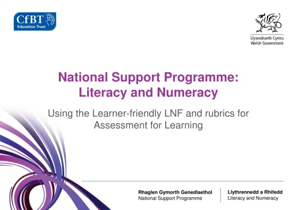 National Support Programme: Literacy and Numeracy