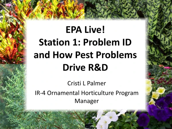 EPA Live! Station 1: Problem ID and How Pest Problems Drive R&amp;D