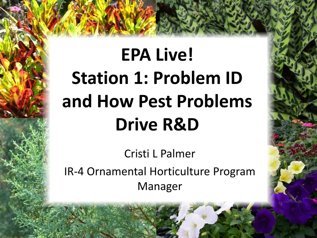 epa live station 1 problem id and how pest problems drive r d