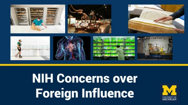 NIH Concerns over Foreign Influence