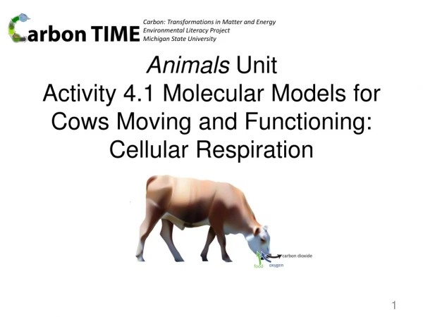 Animals Unit Activity 4.1 Molecular Models for Cows Moving and Functioning: Cellular Respiration