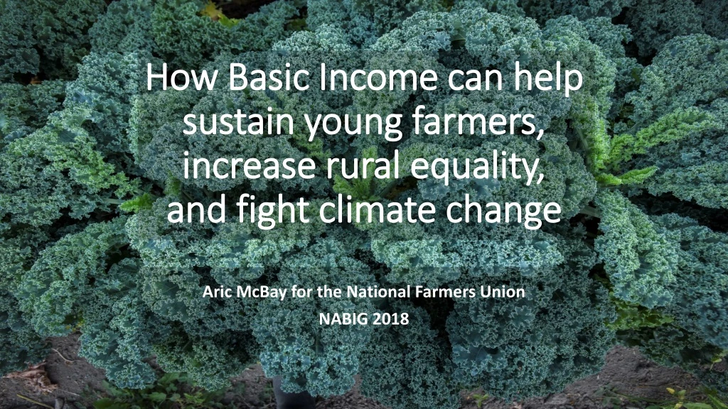 how basic income can help sustain young farmers increase rural equality and fight climate change