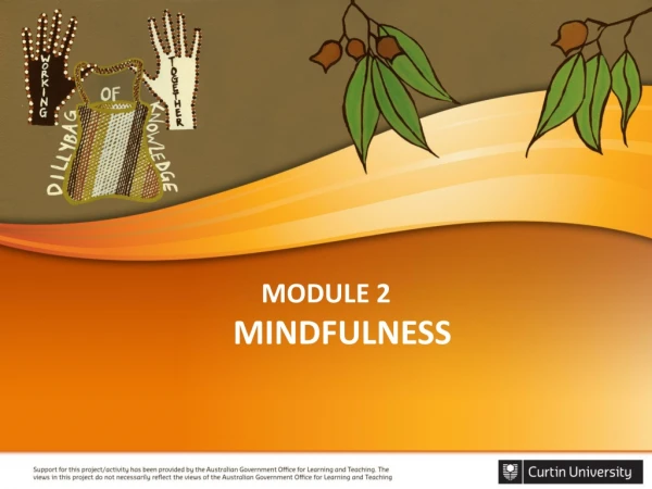 MODULE 2 MINDFULNESS