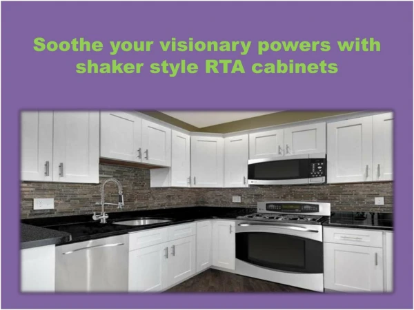 Shaker Style rta Cabinets