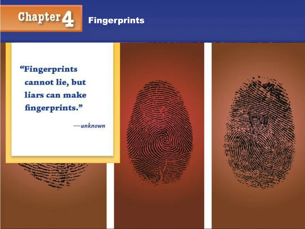 fingerprints