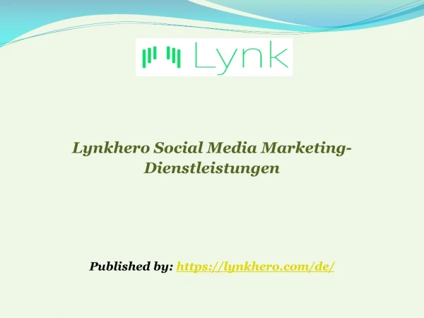 Lynkhero Social Media Marketing-Dienstleistungen