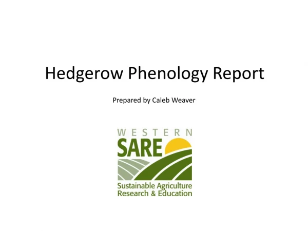 Hedgerow Phenology Report