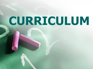 CURRICULUM - slide 1