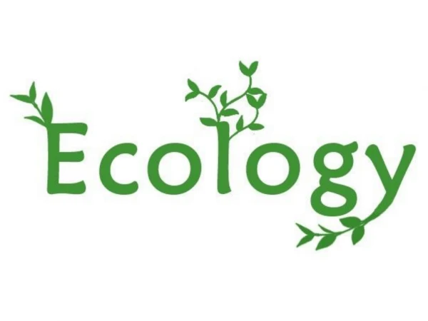 What does Ecology study?