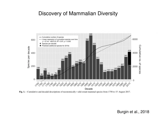 Discovery of Mammalian Diversity