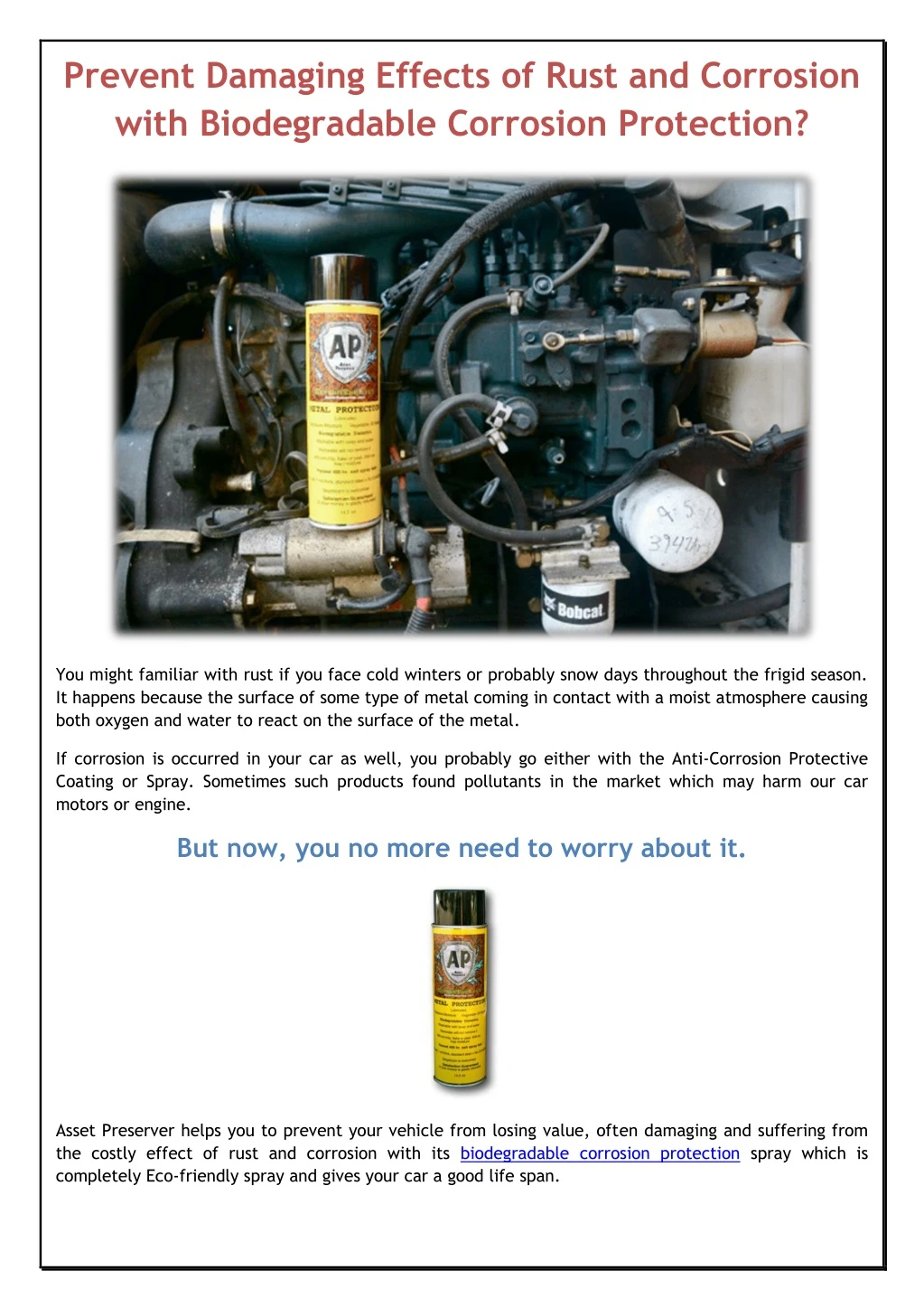 prevent damaging effects of rust and corrosion