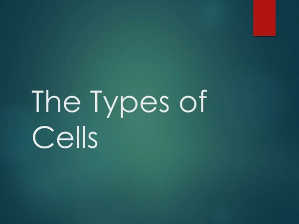 The Types of Cells