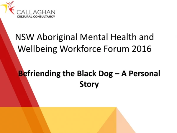 NSW Aboriginal Mental Health and Wellbeing Workforce Forum 2016