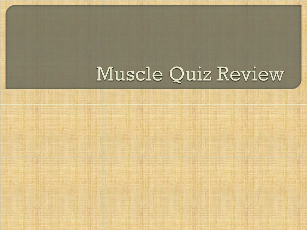 muscle quiz review