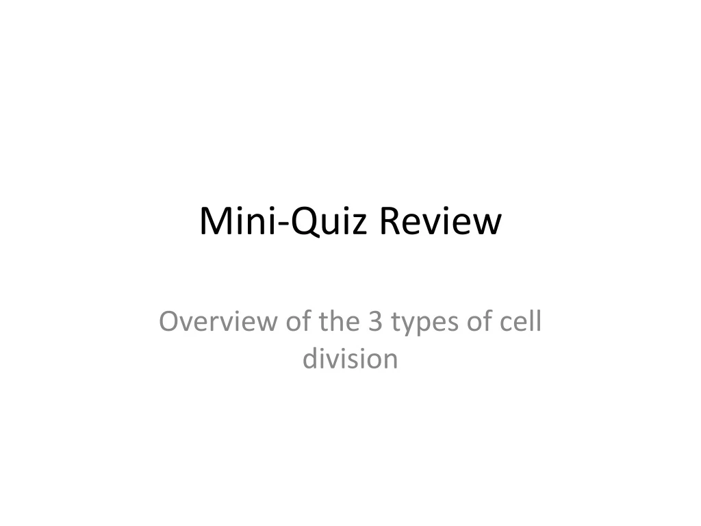 mini quiz review