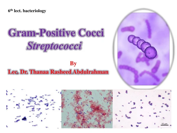 Gram-Positive Cocci Streptococci