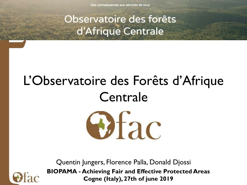 l observatoire des for ts d afrique centrale