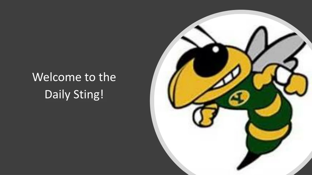 welcome to the daily sting