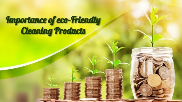 Importance of eco-Friendly Cleaning Products