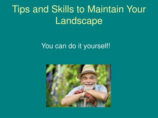 Tips and Skills to Maintain Your Landscape