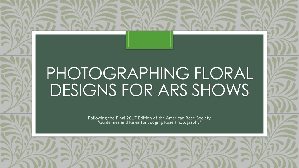photographing floral designs for ars shows