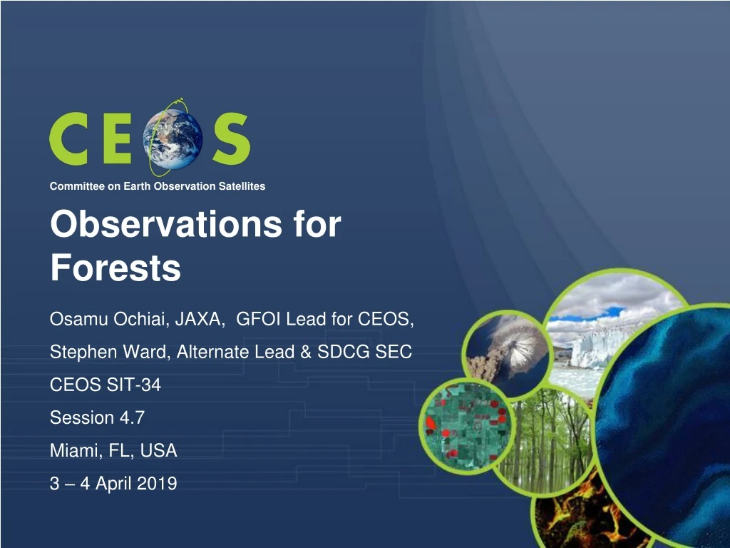 observations for forests