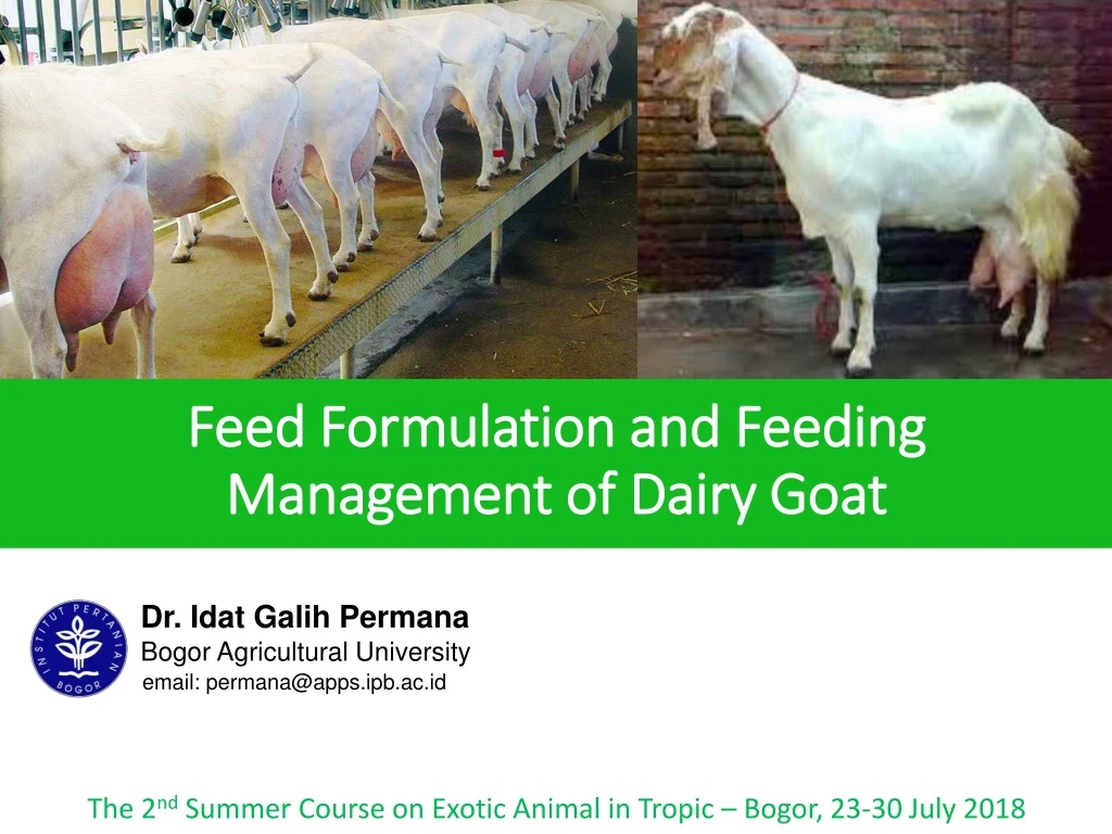 feed formulation and feeding management of dairy goat