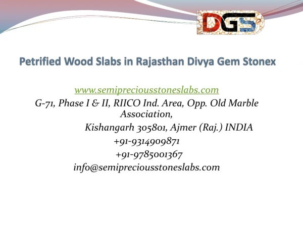 Petrified Wood Slabs in Rajasthan Divya Gem Stonex