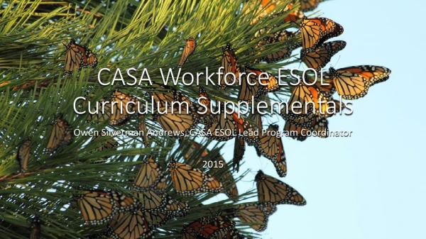 CASA Workforce ESOL Curriculum Supplementals