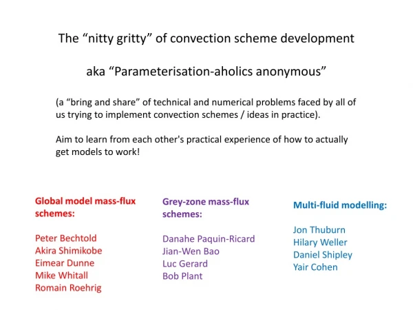 The “ nitty gritty” of convection scheme development aka “Parameterisation- aholics anonymous”
