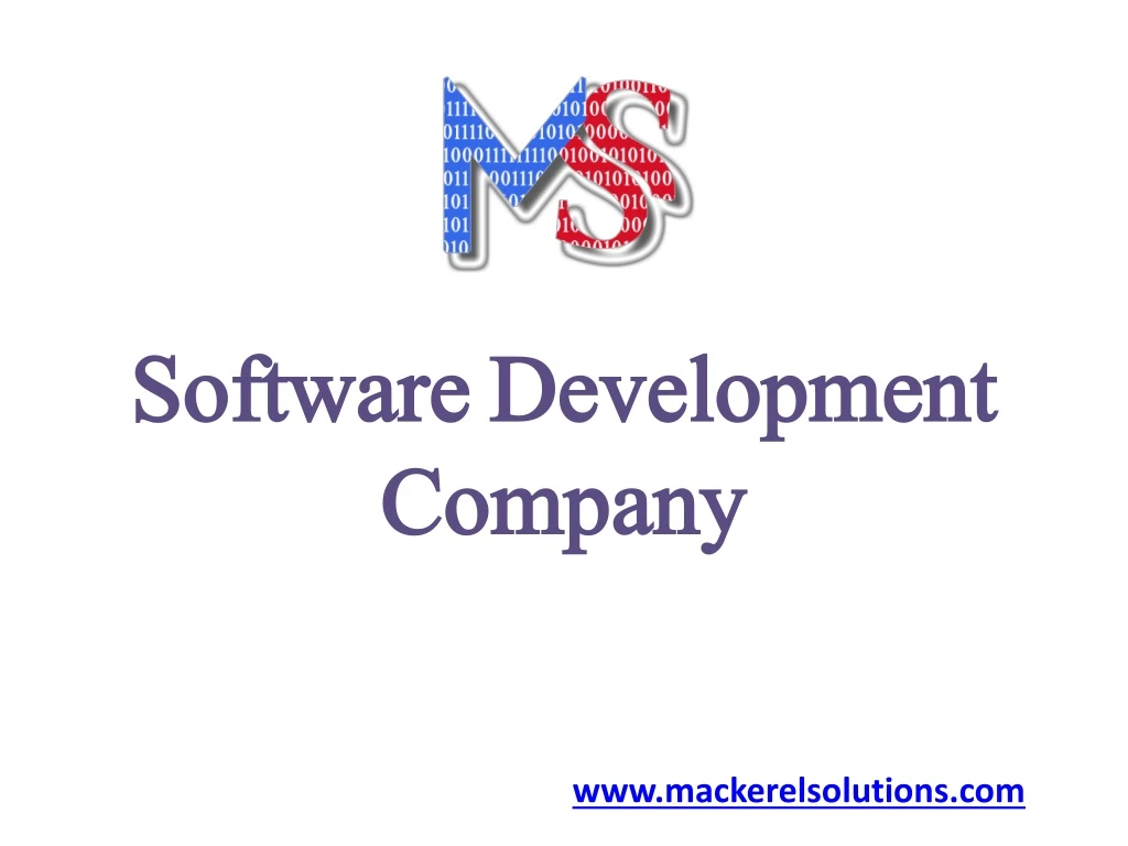 software development company