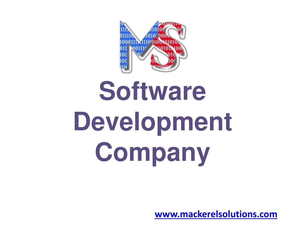 software development company