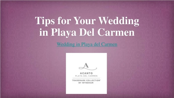Tips for Your Wedding in Playa Del Carmen