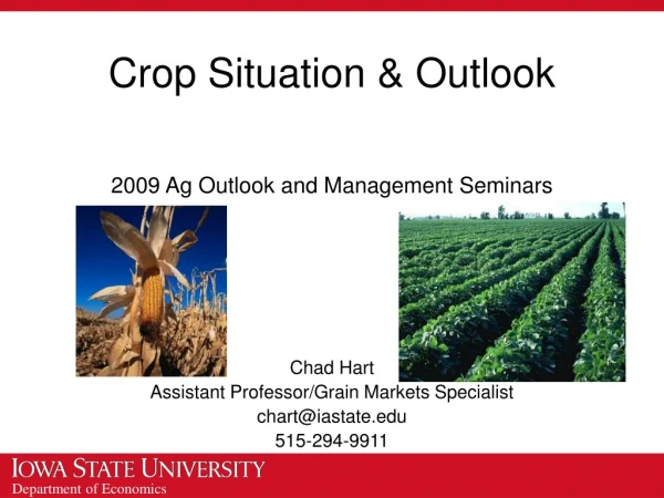 Crop Situation &amp; Outlook