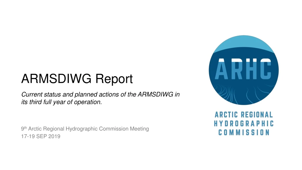 armsdiwg report