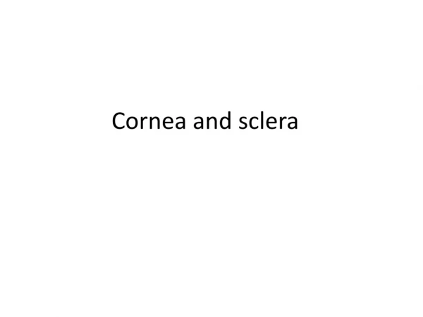 Cornea and sclera