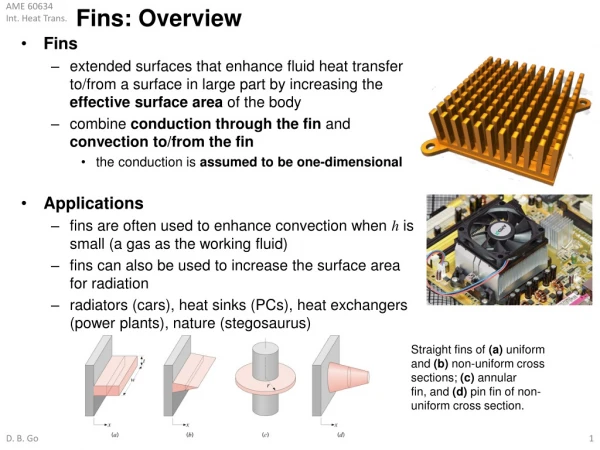 Fins: Overview