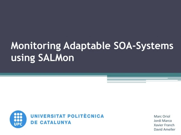 Monitoring Adaptable SOA-Systems using SALMon