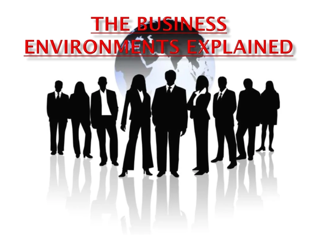 the business environments explained