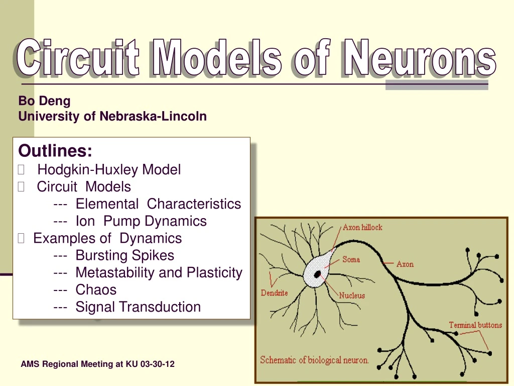 circuit models of neurons