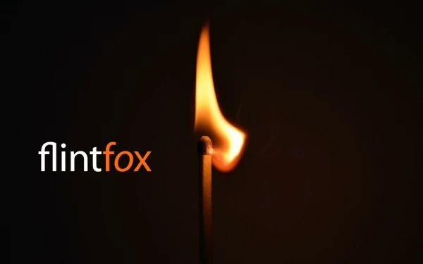 Flintfox Professional Services