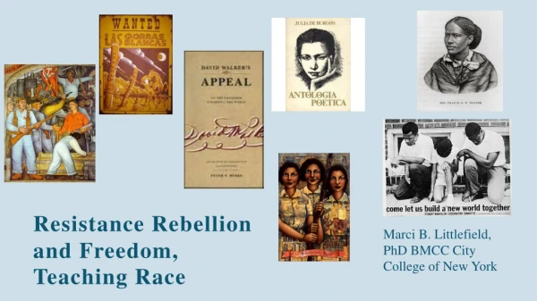 Resistance Rebellion and Freedom, Teaching Race