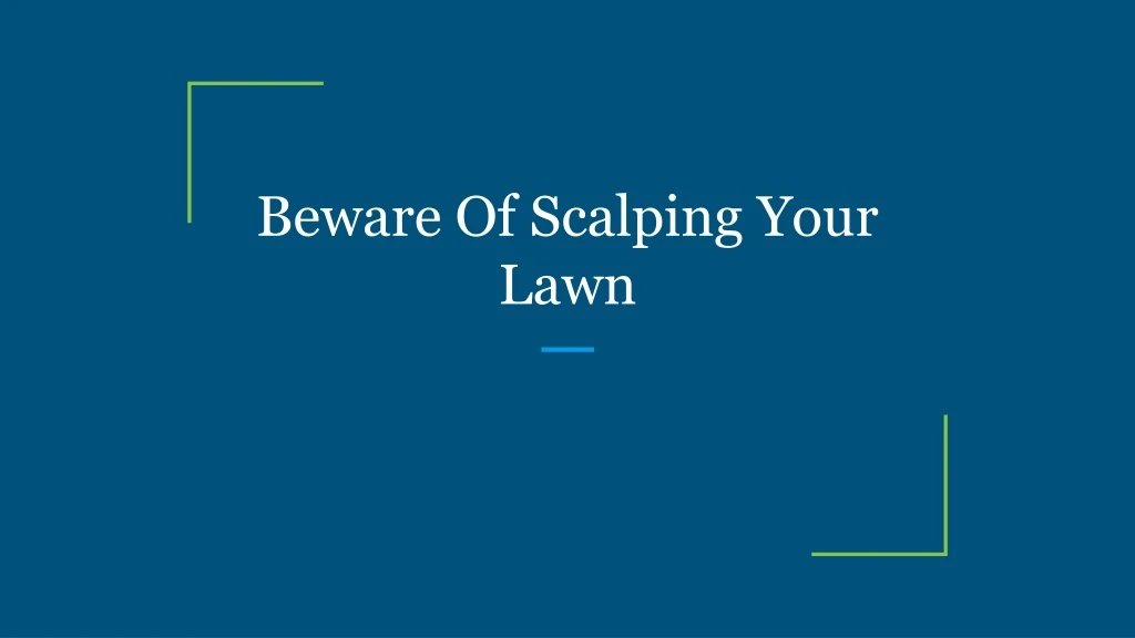 beware of scalping your lawn