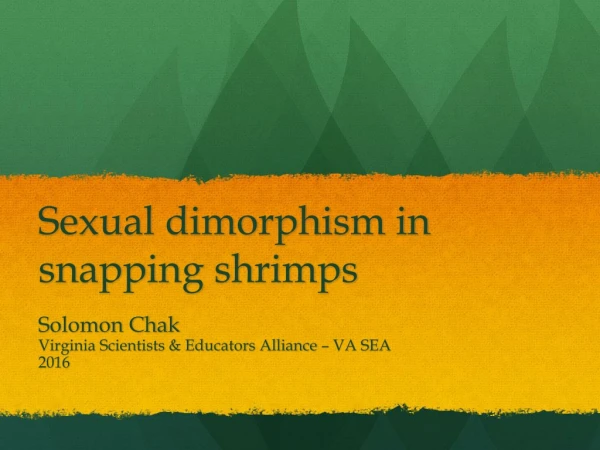 Sexual dimorphism in snapping shrimps