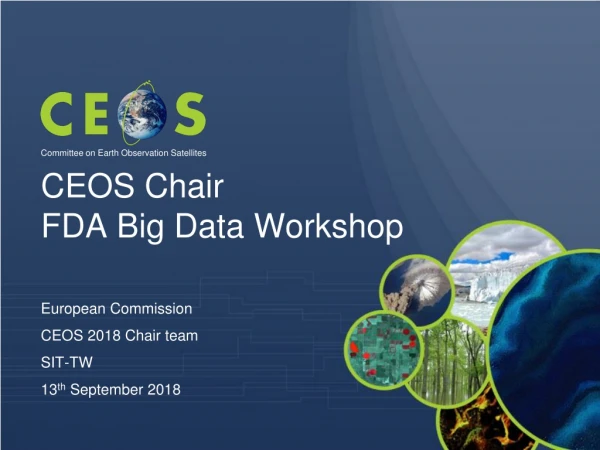 CEOS Chair FDA Big Data Workshop