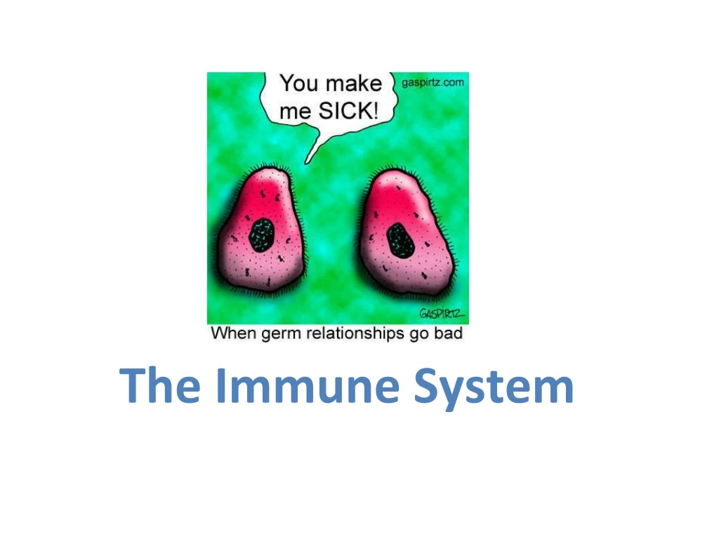 the immune system