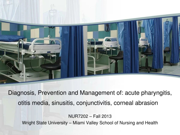 NUR7202 – Fall 2013 Wright State University – Miami Valley School of Nursing and Health