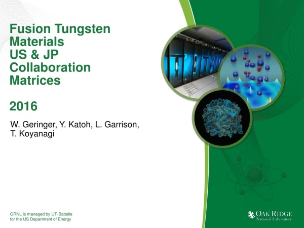 Fusion Tungsten Materials US &amp; JP Collaboration Matrices 2016