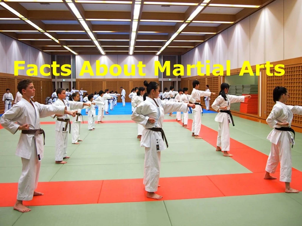 facts about martial arts