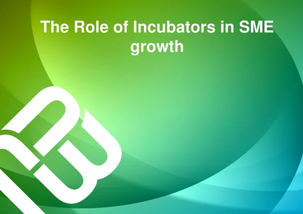 The Role of Incubators in SME growth